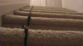 Show off with giantess Laurie Steele