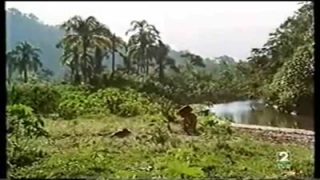 Clip 3 Pereira Dos Santos, Free Vintage Porn dd xHamster