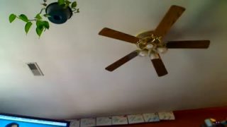 Giantess farting on you