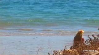 Hot threesome with two hot chicks