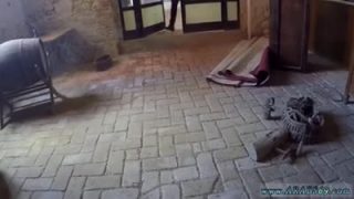 Syrian chick sucking dick for shelter