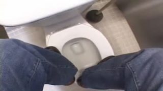 Crissy Moon takes an anal pounding in the toilet